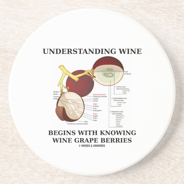 Understanding Wine Begins With Knowing Wine Grape Drink Coaster (Front)
