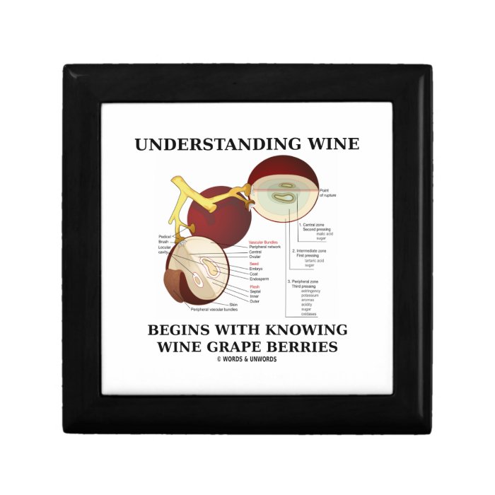 Understanding Wine Begins With Knowing Wine Grape Keepsake Box