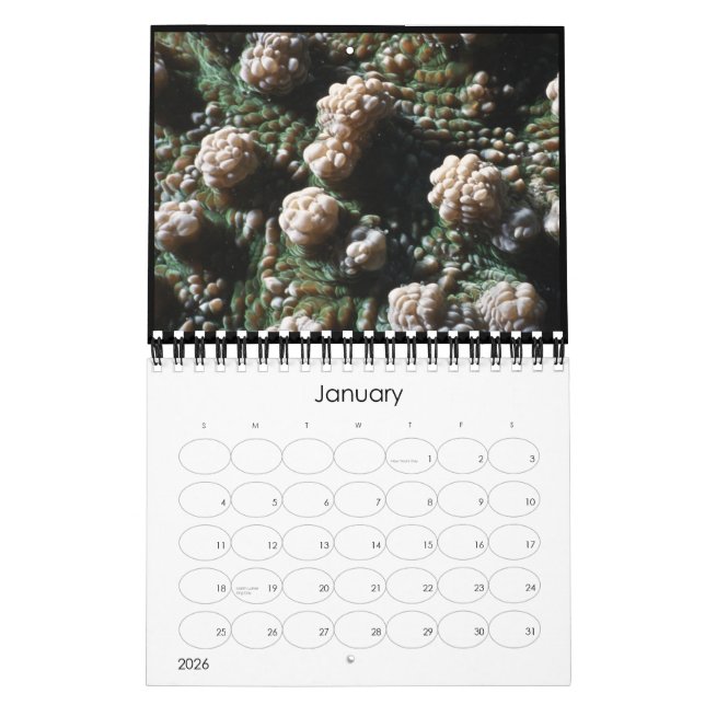 underwater 2010 calendar (Jan 2026)