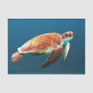 Underwater 24 tissue paper