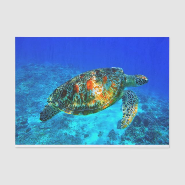 Underwater 30 tissue paper (Front)