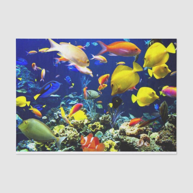 Underwater 5-6 Image Options Tissue Paper (Front)
