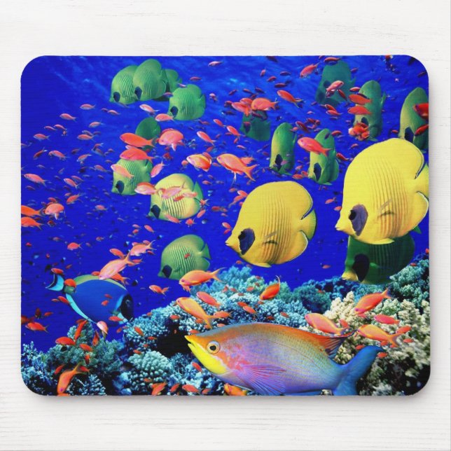 Underwater 6 mouse pad (Front)