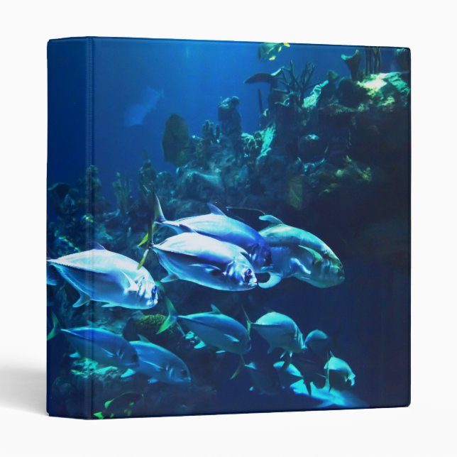 Underwater 8 Binders (Front/Spine)