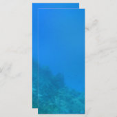 Underwater Background Scene (Front/Back)