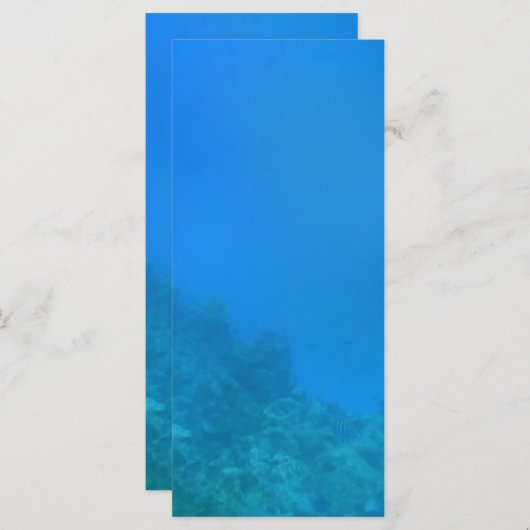 Underwater Background Scene (Front/Back)