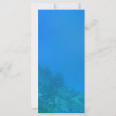 Underwater Background Scene (Front)