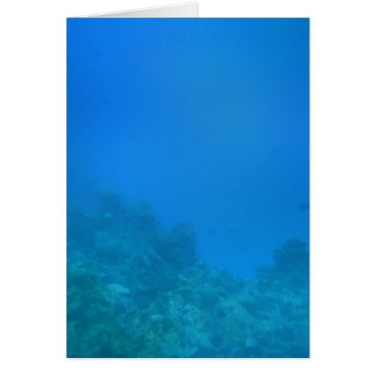 Underwater Background Scene Cards (Front)
