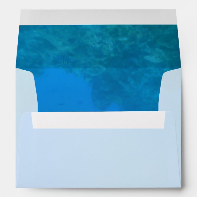 Underwater Background Scene Envelope (Back (Bottom))