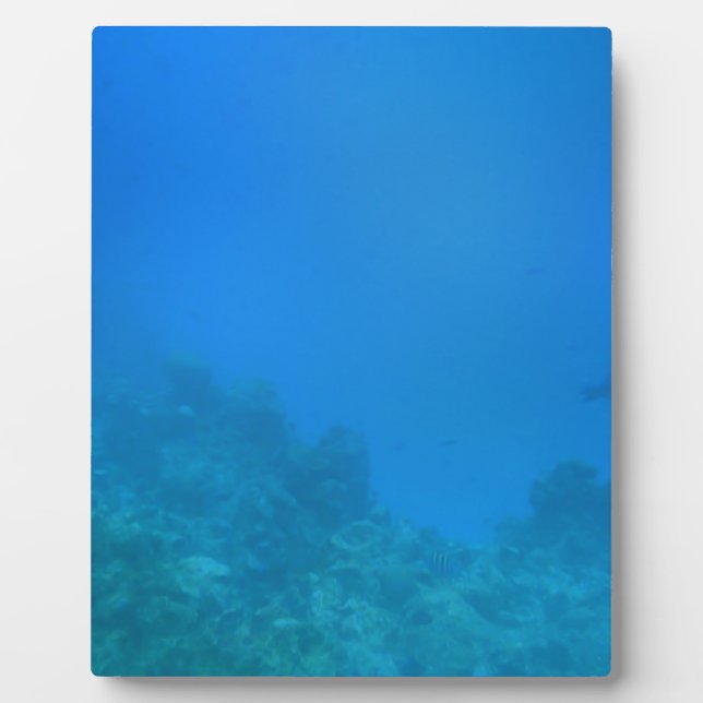 Underwater Background Scene Plaque (Front)