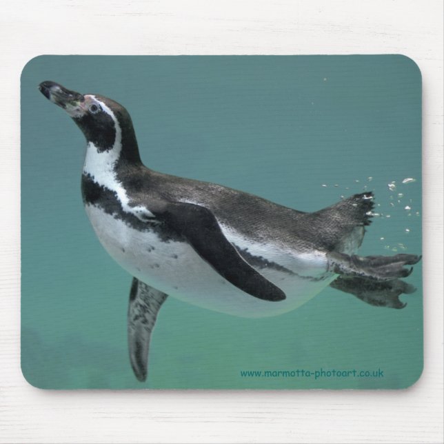Underwater Ballet Mousemat Mouse Pad (Front)