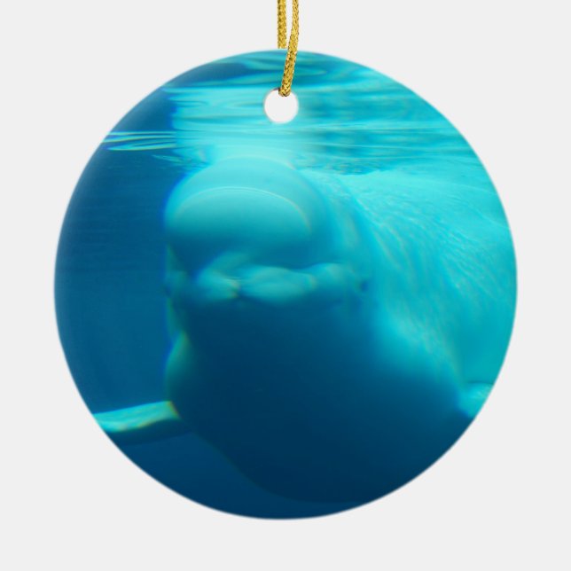 Underwater Beluga Whale Ceramic Ornament (Front)