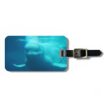 Underwater Beluga Whale Luggage Tag