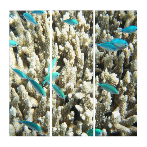 Underwater Blue Fish And Coral Triptych