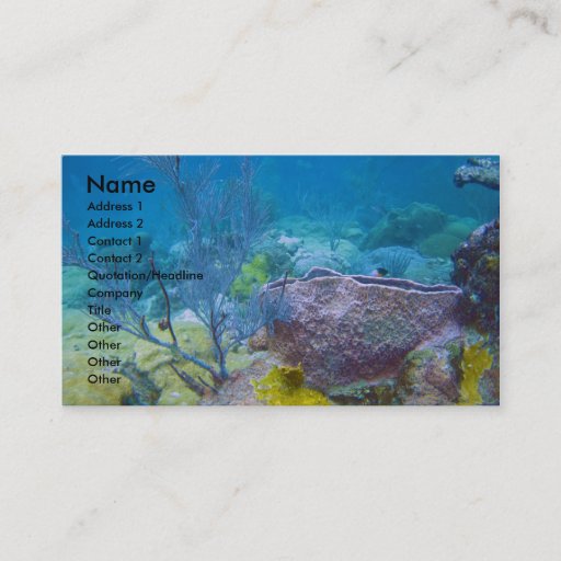 Customizable Underwater Business Card
