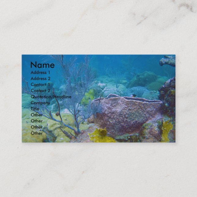 Underwater Business Card (Front)