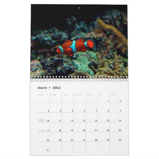 Underwater Calendar | Zazzle