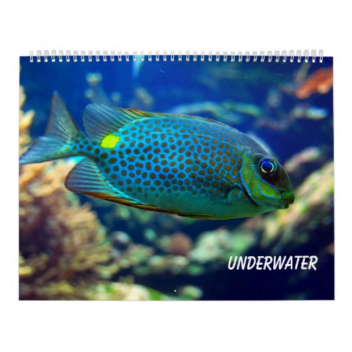 Underwater Calendar