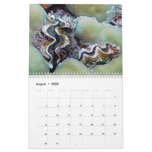 Underwater Calendar __ Palau