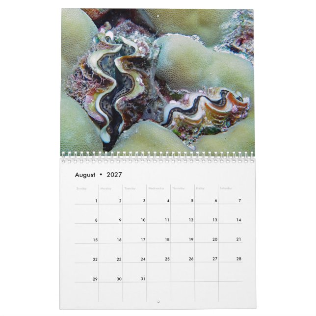 Underwater Calendar -- Palau (Aug 2027)