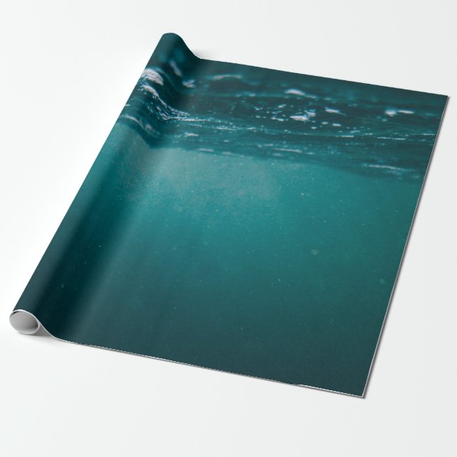 Underwater camera capture wrapping paper (Unrolled)