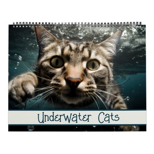 Underwater Cats Funny Photography Calendar
