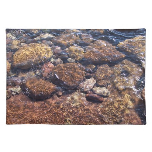 Underwater Cloth Placemat