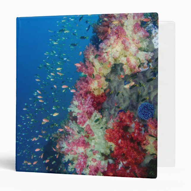 Underwater coral reef, Indonesia Binder (Front/Inside)