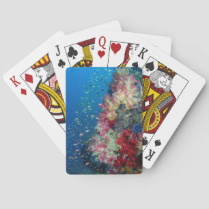 Underwater coral reef, Indonesia Poker Cards