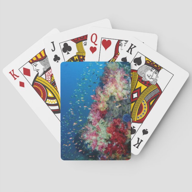 Underwater coral reef, Indonesia Poker Cards (Back)