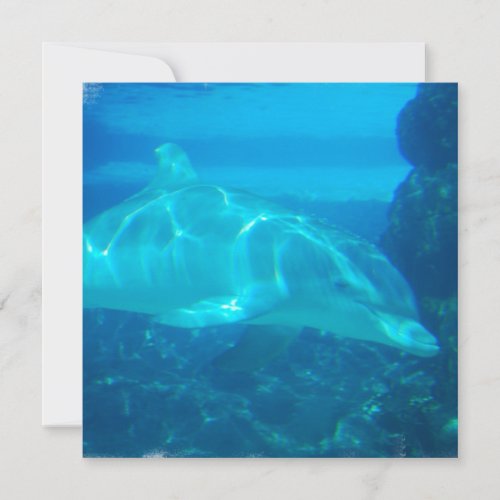 Underwater Dolphin Invitations