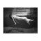Underwater Fashion Photography