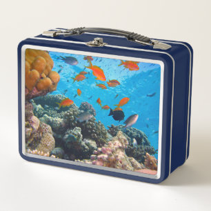 Underwater Fish and Coral Scene Metal Lunch Box