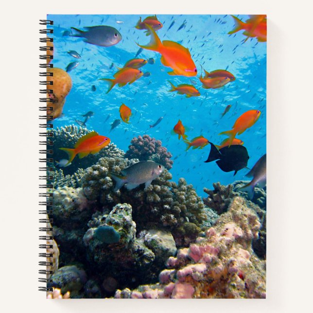 Underwater Fish and Coral Scene Notebook (Front)