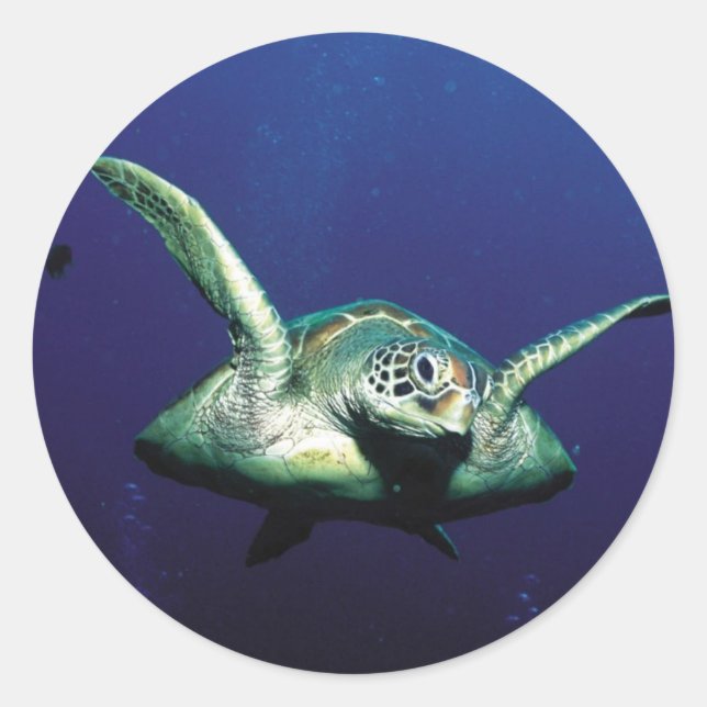 Underwater Flight Classic Round Sticker (Front)