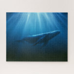 Underwater