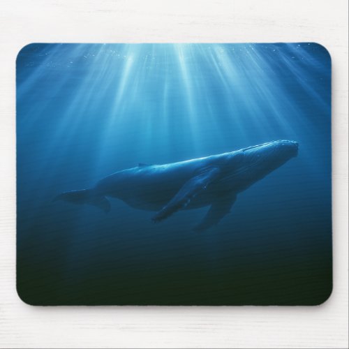 Underwater Humpback Whale Mouse Pad