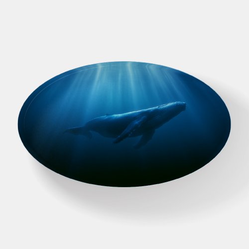 Underwater Humpback Whale Paperweight