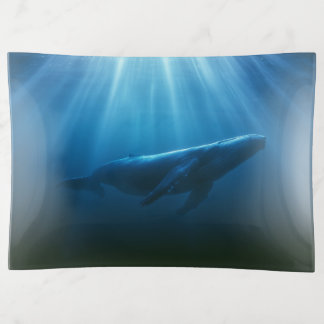 Underwater Humpback Whale Trinket Tray