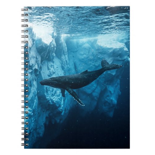 Underwater iceberg and a Humpback Whale Notebook