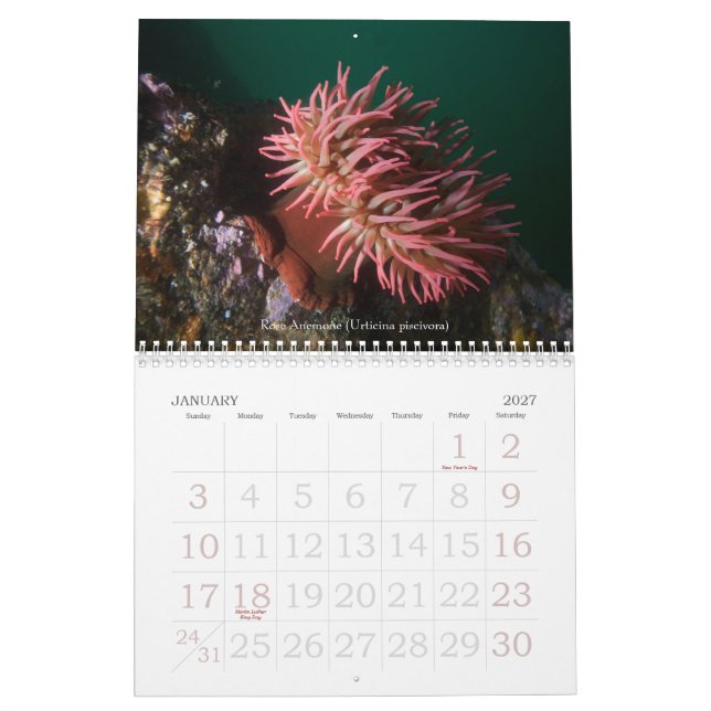 Underwater Journeys 2008 Calendar (Jan 2027)