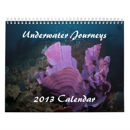 Underwater Journeys 2013 Marine Life Calendar