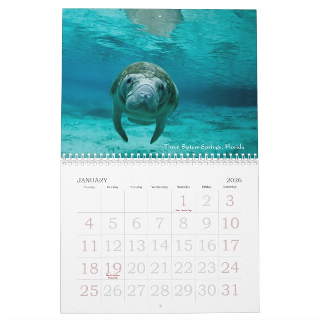 Underwater Journeys 2014 Calendar (Jan 2026)