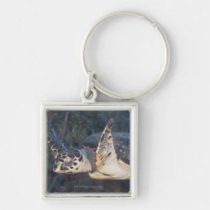 Underwater Life: A Hawksbill Sea Turtle 2 Keychain