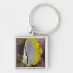 Underwater Life, FISH: A colorful tropical Keychain
