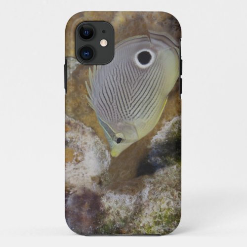 Underwater Life FISH A Foureye Butterflyfish iPhone 11 Case