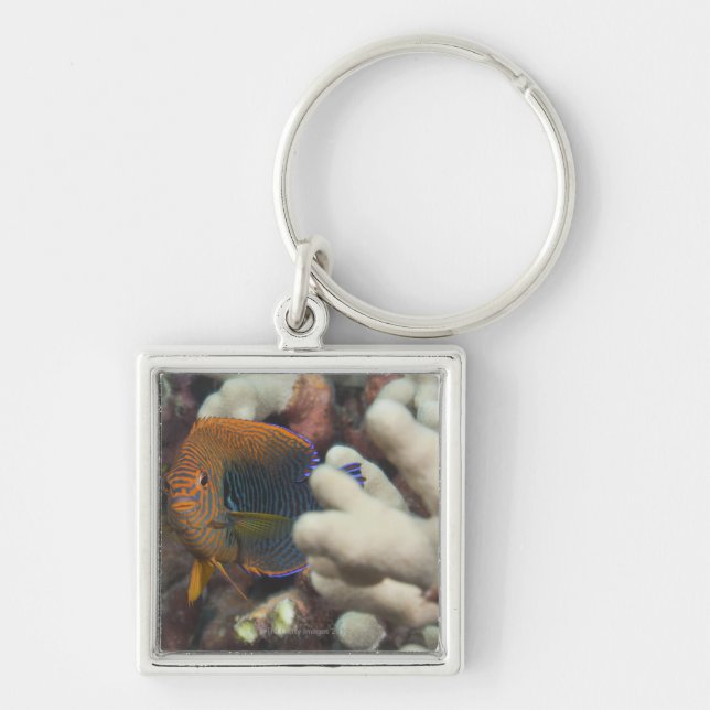 Underwater life; FISH: A portrait of a Potter's Keychain (Front)