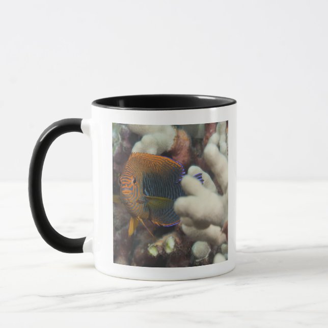 Underwater life; FISH: A portrait of a Potter's Mug (Left)
