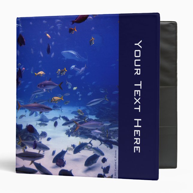 Underwater Magic Binder (Front/Inside)