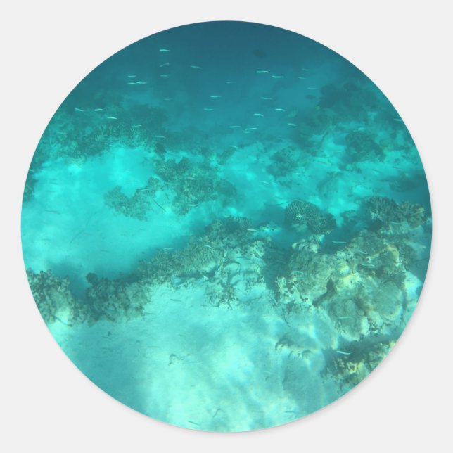 Underwater Nature  Classic Round Sticker (Front)